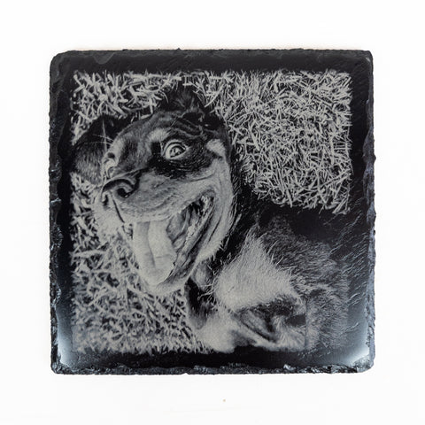 Square slate plaque with a detailed laser-engraved pet portrait, created for use as a bespoke gift, memorial, or home display piece.