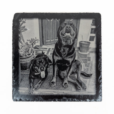 Square slate plaque displaying a detailed laser-engraved image of two dogs in a home setting, intended as a custom keepsake or pet memorial.