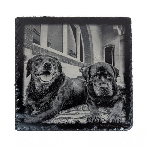 Square slate plaque showcasing a high-contrast laser-engraved image of two dogs relaxing outdoors, meant as a custom pet or family keepsake.