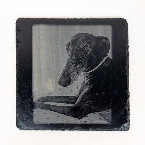 Square slate plaque with a detailed laser-engraved pet portrait, created for use as a bespoke gift, memorial, or home display piece.