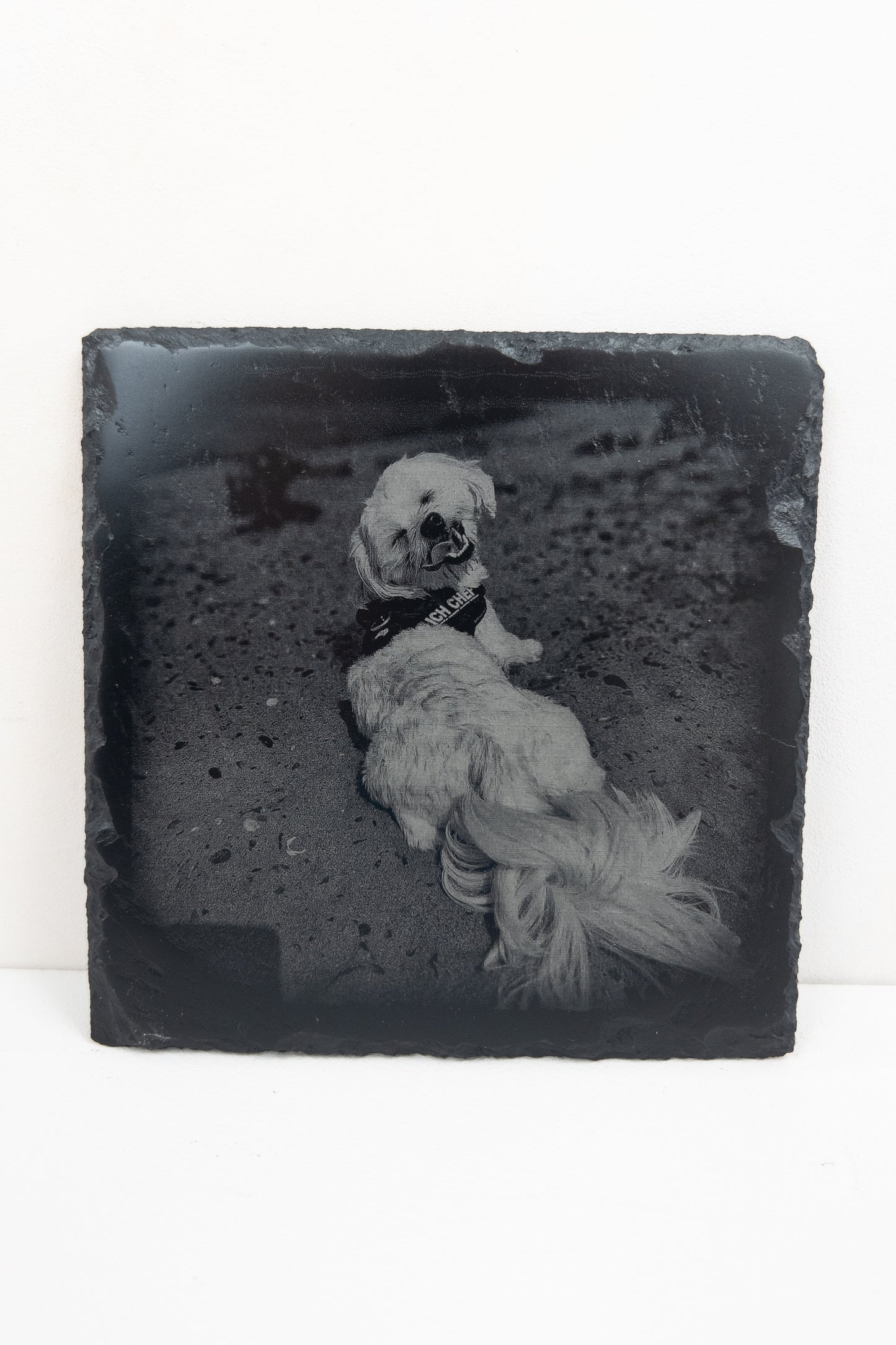 VIVERA custom engraved slate photo tile featuring detailed pet portrait, personalized photo engraving on natural slate, handmade in Spain, perfect for unique pet memorial or keepsake gift.