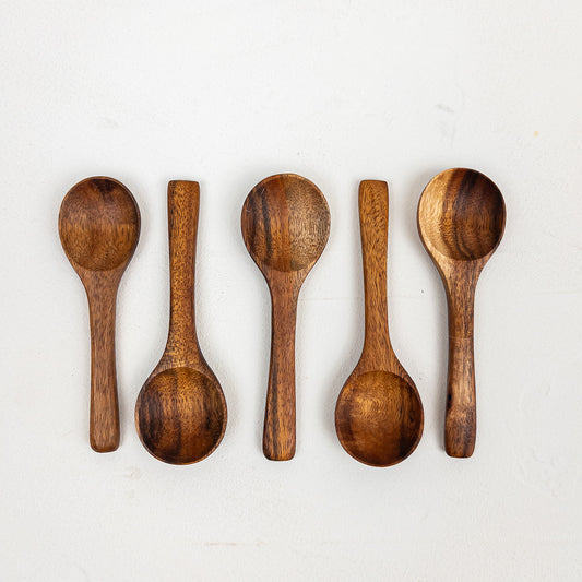 Mini Spoon – Salt & Spice Scoop | PAULO