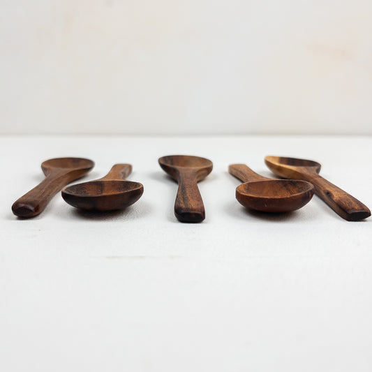 Mini Spoon – Salt & Spice Scoop | PAULO